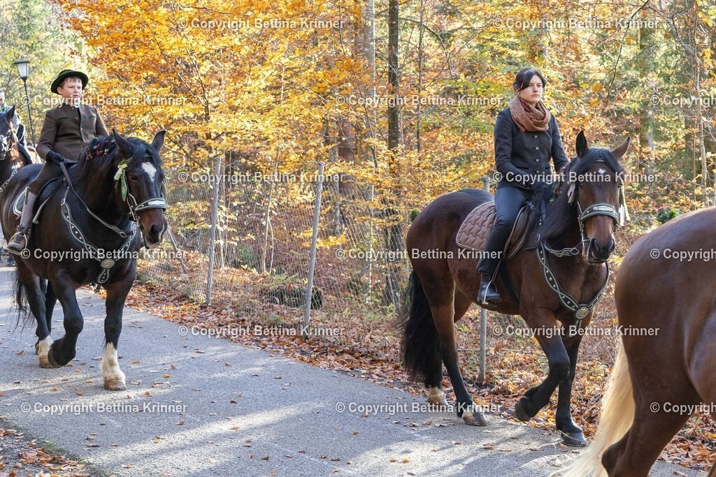 LL24-337 | foto-bettina-krinner - Realisiert mit Pictrs.com