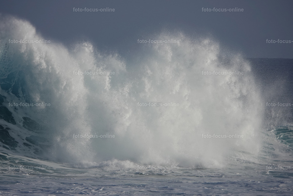 Wild Waves | Wild Waves Atlantic