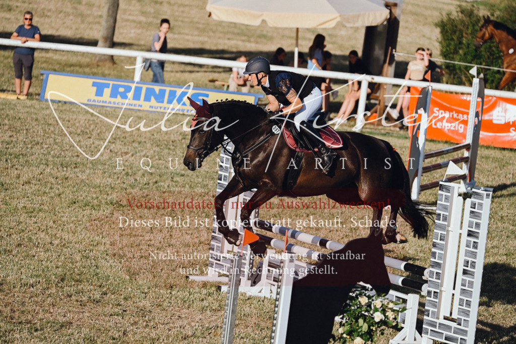 DSC_3237 | Pferde- und Turnierfotografie in Westsachsen. Pferdeportraits, Auftragszeichnungen und intuitive Kunst.