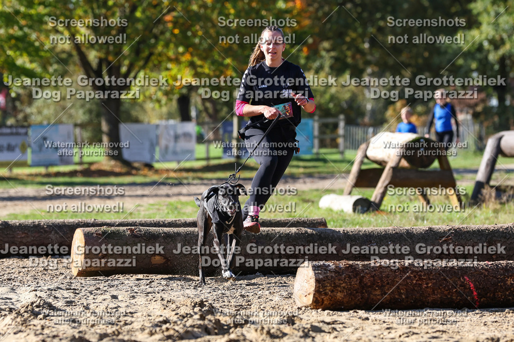 Dog Paparazzi - Strongdog 10-25-2880 | Dog Paparazzi Jeanette Grottendiek Fotografie & Videografie - Realisiert mit Pictrs.com