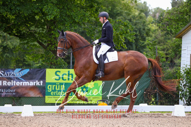 DKP40908 | Turnierfotos kaufen im Webshop von Daniel Kuhl Photography – entdecke professionelle Reitsportfotos aus Turnieren & Events. Hochwertige Turnierbilder online bestellen & sichern. Jetzt Fotos von Reitsportturnieren kaufen!