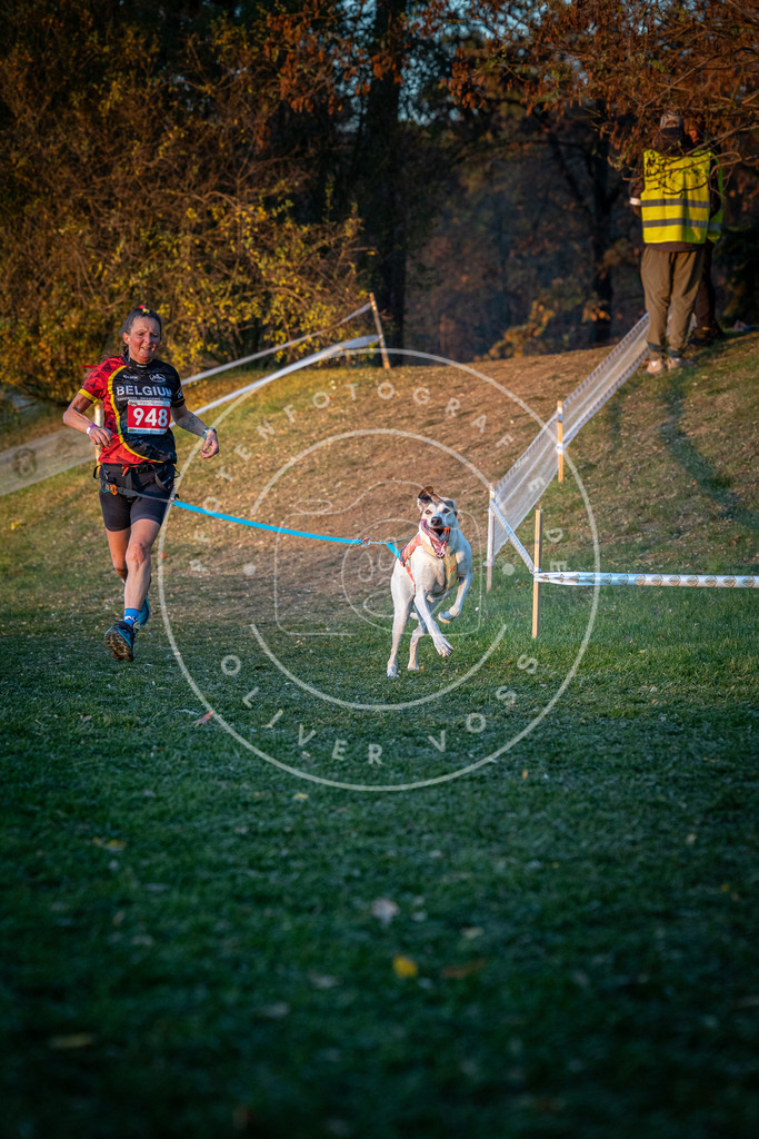 CaniXpix_0L8A2009 | Hundefotografie, Tierfotograf, Pfotenfotografie, Fotoshooting Hund, Hunde Portrait, Hundesport, Hundeportraits, Heideshooting, Hunde, Sportfotograf, Hundefotograf, Turnierhundsport, THS,  - Realisiert mit Pictrs.com