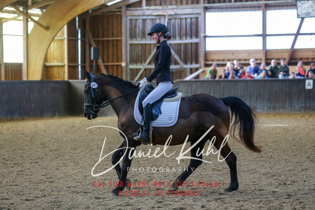 IMG_1007 | Turniersportfotografie; Pferdefotografie; Dressurfotografie