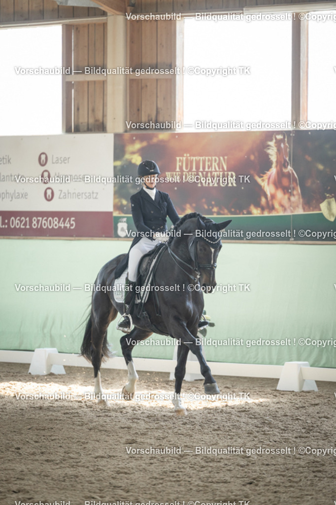 _D5A1609 | Emotionale Pferde- & People-Fotografie rund um Heidelberg, Leimen & Umgebung. Natürliche Fotos von Pferd, Mensch & Familie. Jetzt Termin sichern!