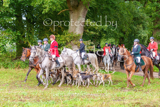 Jagd Perdoel 26 Sony-03932_MarinaHewig | Fotografie, FotoArt, PferdesportArt, Pferdesportfotografie, Landschaftsfotografie, Reisefotografie, Reise, Pferde - Realisiert mit Pictrs.com