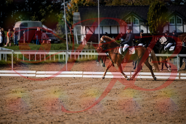 2026_10_03_Siefer-Hof_120144_Z63_34325688 | Professionelle Reitsport-, Turnier- und Eventfotografie von Robert Broda. Galerien mit ausgewählten und bearbeiteten Bildern direkt online ansehen und bestellen.