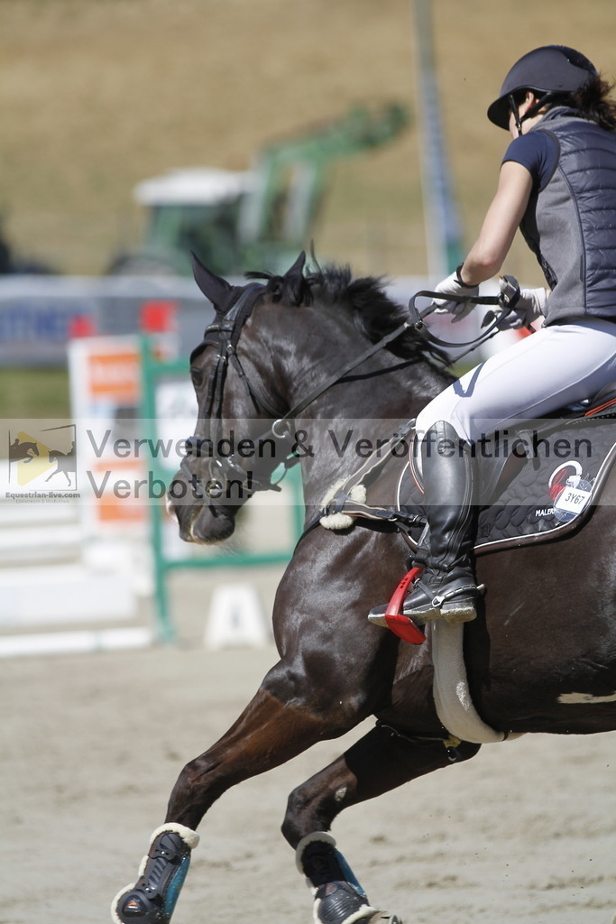 _MG_6629 | equestrian-live-com