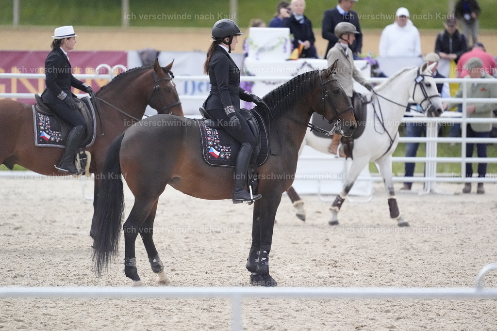 PI26_COW_Stoibphotography_DSC5924.JPG | working equitationturnier fotograf videograf stoibphotography marixx film working equitation deutschland reitsport turnierfotografie eventfotografie equestrian events