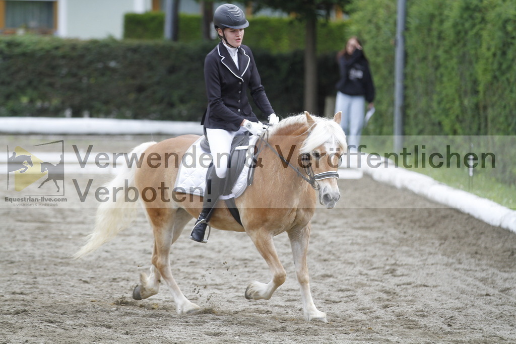 _MG_0934 | equestrian-live-com