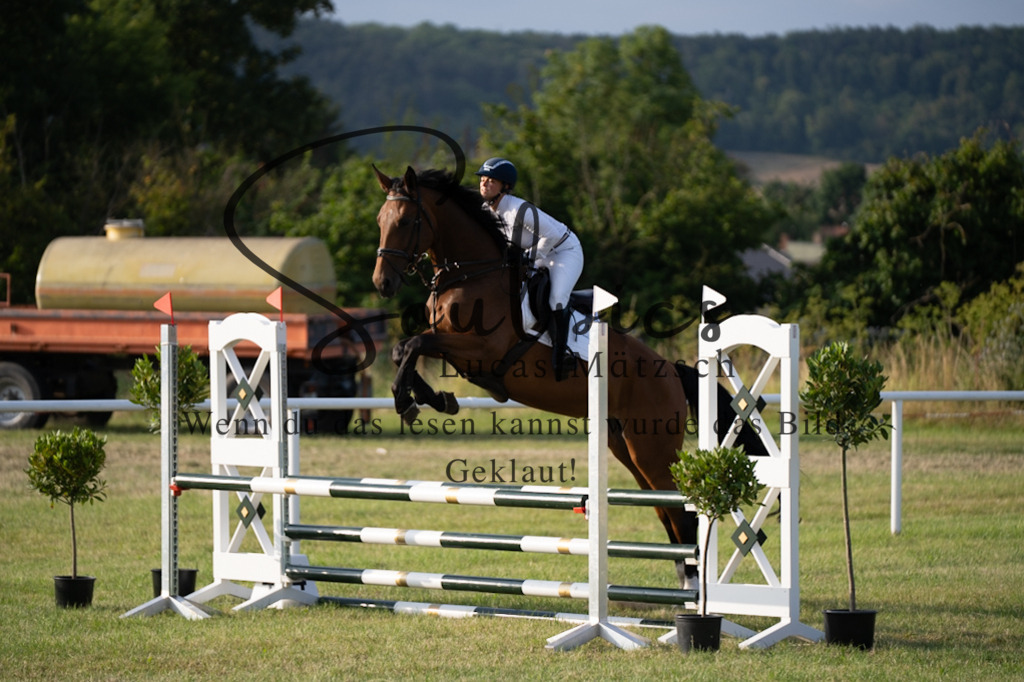 A7V01134 | Pferdefotograf