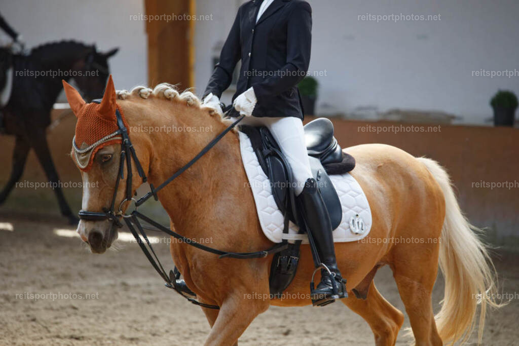 JHE_4670 | JoYa Fotografie - Realisiert mit Pictrs.com