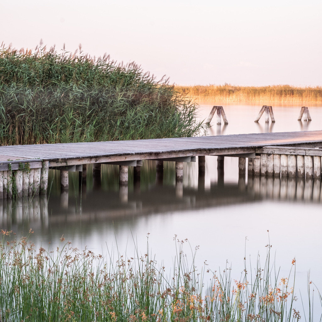 Landschaftsbilder_Landschaftsfotos_Kaufen_Wandbilder_Roman_-Huditsch-Fotografie_028_Neusiedler See | Exklusiver Webshop für hochwertige Landschaftsfotos aus Kärnten, Österreich und der ganzen Welt.
Landschaftsfotos auf Leinwand, Acrylglas, Aludibond
Wandbilder online kaufen, fürs Zuhause oder als Geschenk zum Geburtstag, Weihnachten und mehr - Realisiert mit Pictrs.com