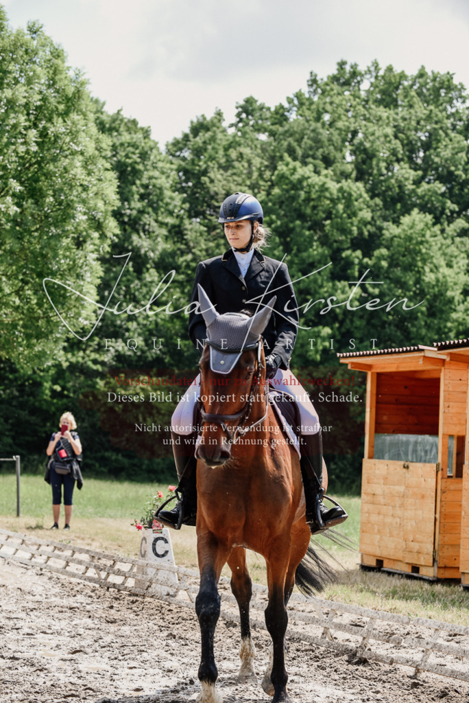 DSC_1118 | Pferde- und Turnierfotografie in Westsachsen. Pferdeportraits, Auftragszeichnungen und intuitive Kunst.