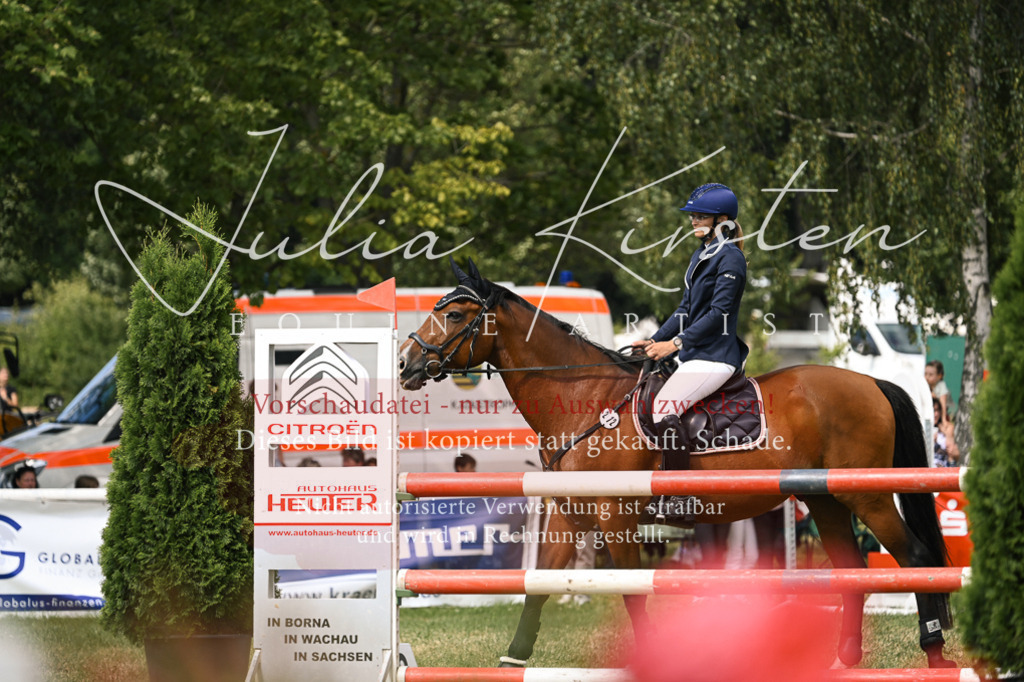 DSC_0674 | Pferde- und Turnierfotografie in Westsachsen. Pferdeportraits, Auftragszeichnungen und intuitive Kunst.