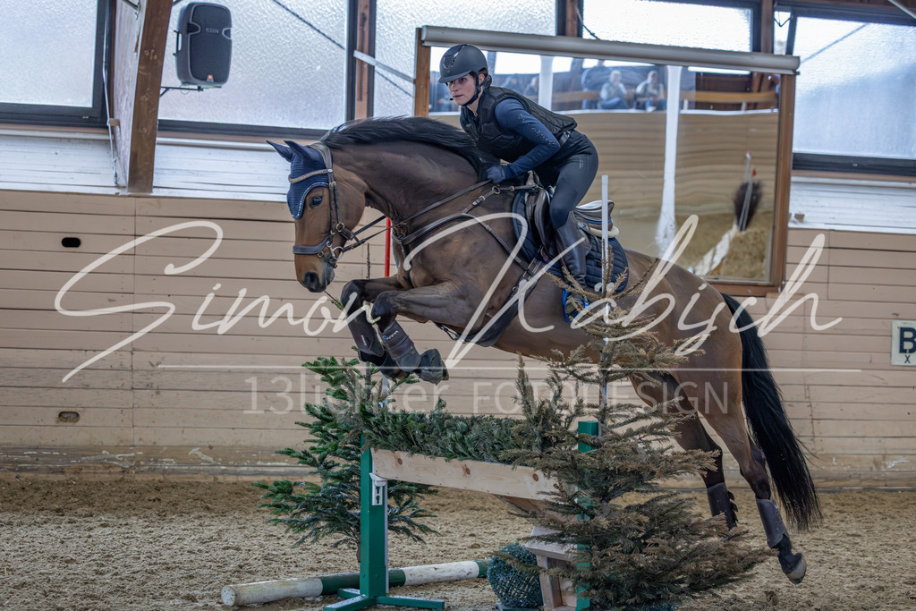 20260222-_3LI2378 | Tierfotografie Pferde, Hunde, Katzen, Haustiere.
Turnierfotografie Reitturniere, Reiten, Springreiten, Dressur in Hanau, dem Main-Kinzig-Kreis und dem Rhein-Main- Gebiet um Frankfurt