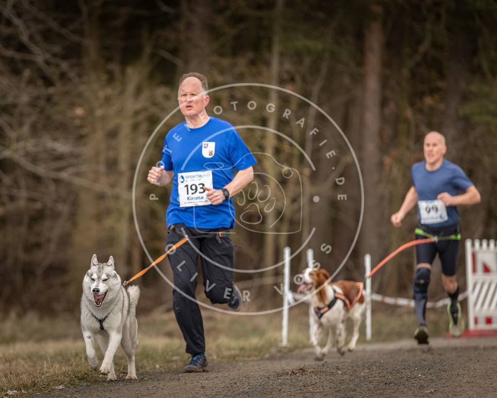 DV3A5281 | Hundefotografie, Tierfotograf, Pfotenfotografie, Fotoshooting Hund, Hunde Portrait, Hundesport, Hundeportraits, Heideshooting, Hunde, Sportfotograf, Hundefotograf, Turnierhundsport, THS,  - Realisiert mit Pictrs.com