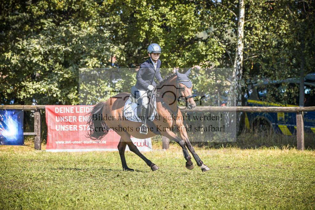DOS_1060 | Entdecke hochwertige Reitturnierfotos von Foto Oger. Professionell, emotional und authentisch – jetzt Lieblingsmomente im Shop bestellen.Deutschlandweite Turnierfotografie. - Realisiert mit Pictrs.com