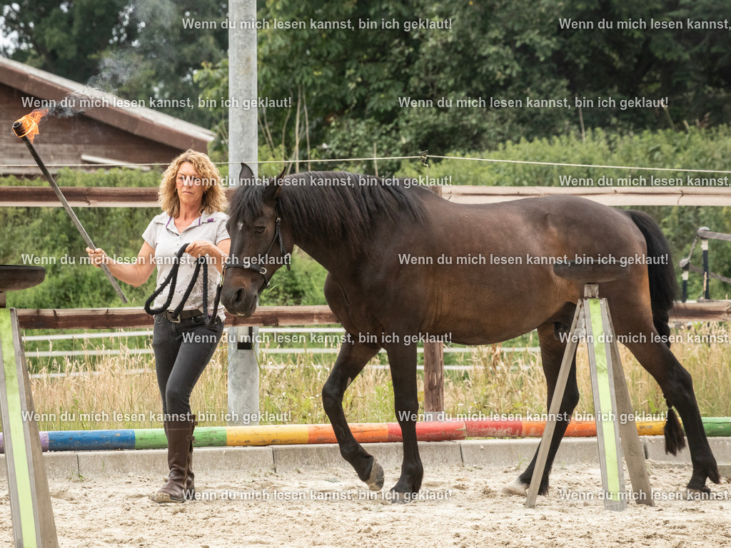 598A7944 | photographylinaismer - Realisiert mit Pictrs.com