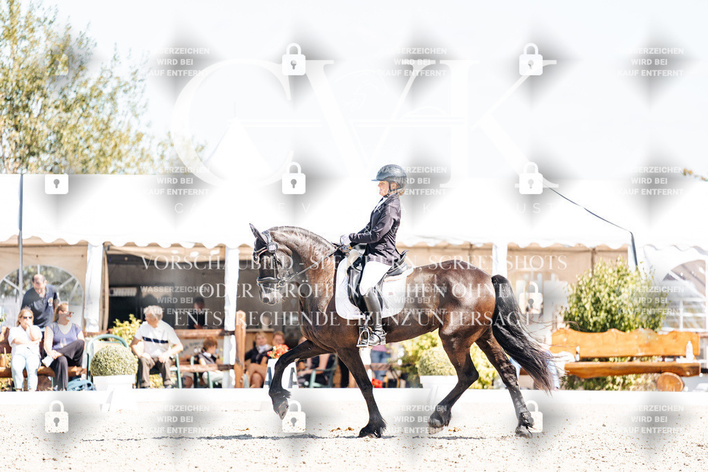 CK904048 | Turnierfotografie Pferdefotografie Trier Rheinland-Pfalz Pferdesport Reitsport Tierfotografie Sportfotografie Pferdevideo Pferdevideografie Equestrianvideography equestrianphotography  - Realisiert mit Pictrs.com