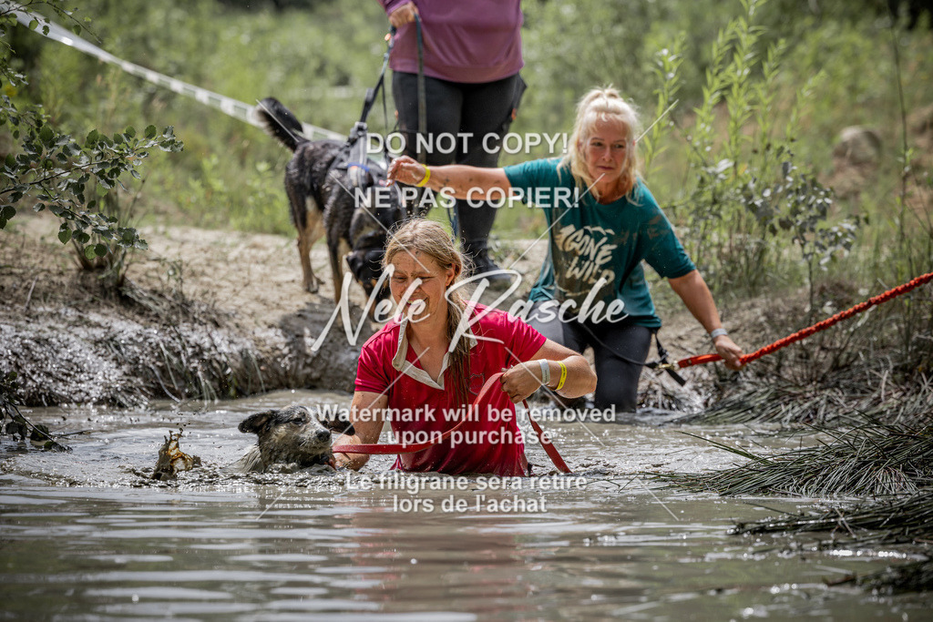 nelerasche_so1230-1300_248 | nelerasche