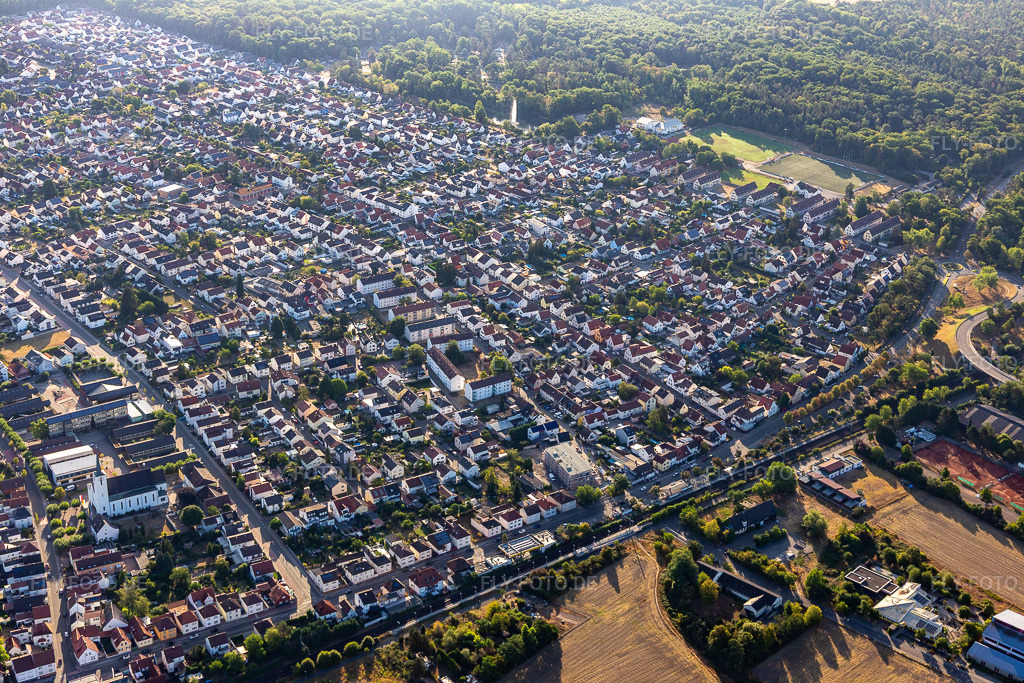 Luftbild:  in Schifferstadt im Bundesland Rheinland-Pfalz in Deutschland. – Foto: IMG_133906.jpg vom 21.08.2022 durch Werner Riehm/FLY-FOTO.de – Auflösung des Originals: 5472 x 3648 px – Stadtverwaltung Schifferstadt