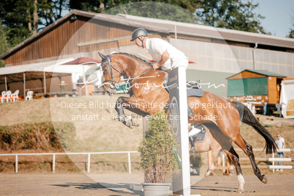 3I6A6191 | Stimmungsvolle Portraits und Reitsportfotografie im Ruhrgebiet und im Münsterland.

Pferdefotografie, Hundefotografie, Tierfotografie, Reportagen, Portraits von Tier und Mensch, Turnierfotografie in Bochum, Recklinghausen, Marl, Haltern am See, Dülmen.. - Realisiert mit Pictrs.com