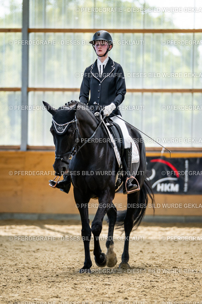 DSC05971 | Pferdegrafie