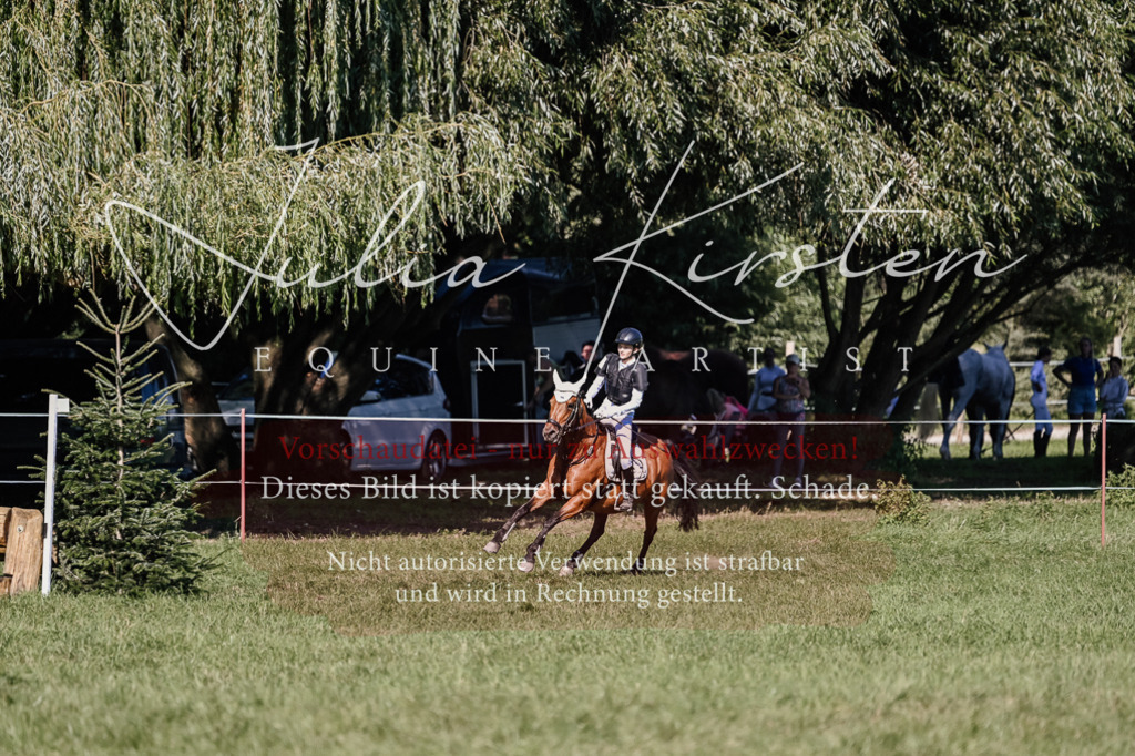 DSC_3468 | Pferde- und Turnierfotografie in Westsachsen. Pferdeportraits, Auftragszeichnungen und intuitive Kunst.