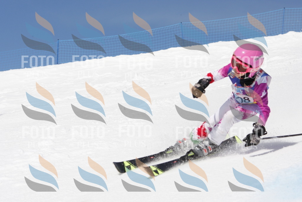 _W1G1628 | holidayphoto