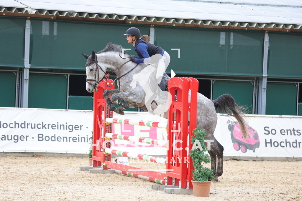 0P6A3259 | Willkommen bei Brunnmayr - Design & Fotografie – Ihrem Spezialisten für Reitturniere und Pferdeveranstaltungen in Oberösterreich, Salzburg und Bayern! Seit über 17 Jahren sind wir leidenschaftlich dabei.
