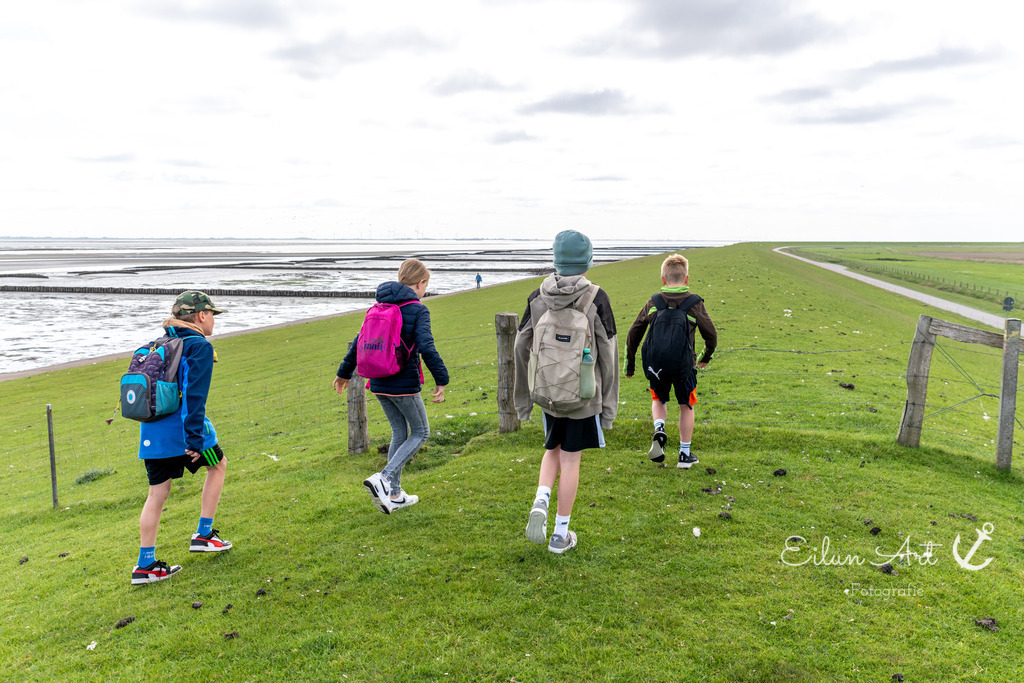EAF_1923 | Eilun-Art-Fotografie Levke Martens, ihre Fotografin für Immobilien- und Landschaftsfotografie auf Föhr, Föhrer Motive als Poster, Leinwand, hinter Acrylglas oder stelle dir deinen eigenen Monatskalender zusammen, mit nur einem Klick
