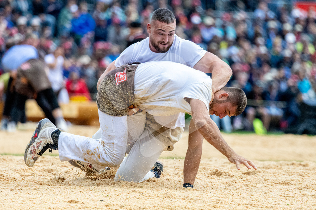 ESAF2025_01Gang_4811 | Die Schwinger des Schwyzer Kantonalen Schwingerverbandes: Fotos, die Dynamik und Leidenschaft festhalten, sowie emotionale Momente aus dem traditionellen Schwingsport zeigen. - Realisiert mit Pictrs.com