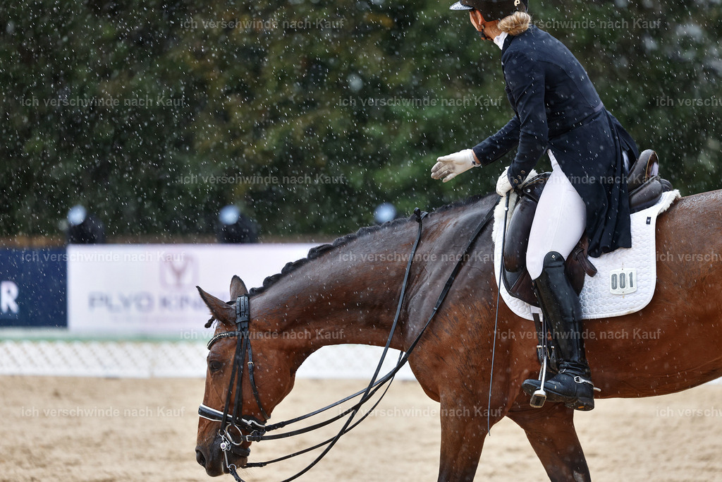 8_1-001-Klasse S_  -StoibPH-3978 | working equitationturnier fotograf videograf stoibphotography marixx film working equitation deutschland reitsport turnierfotografie eventfotografie equestrian events