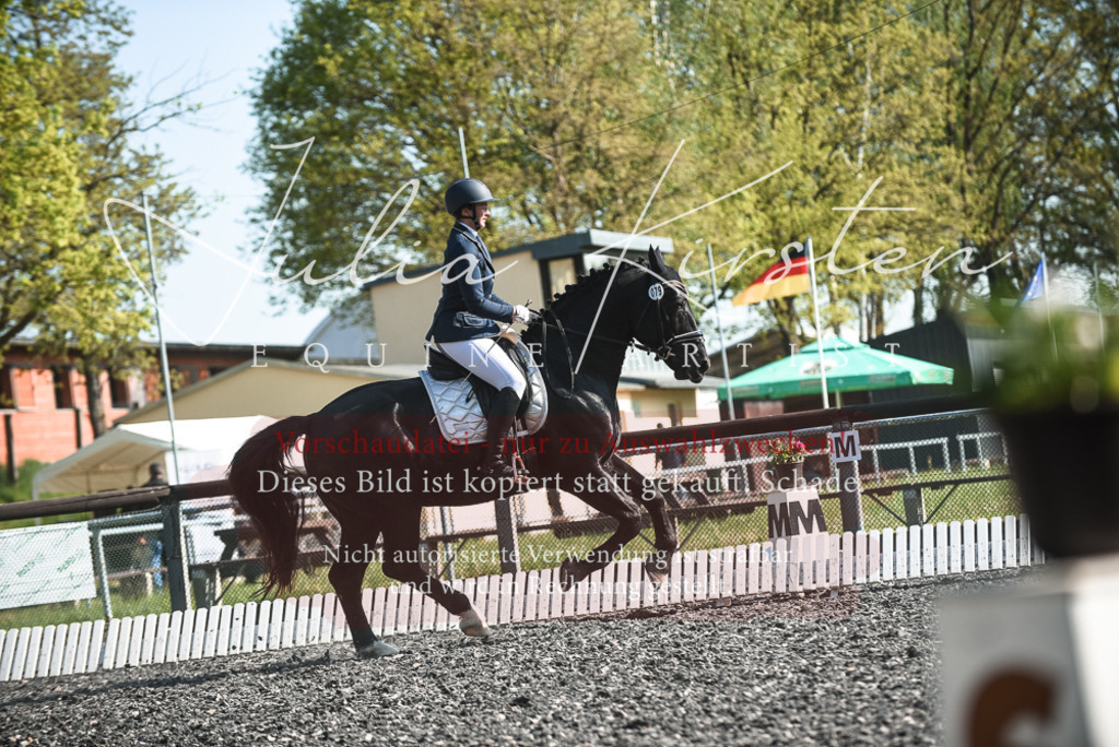 DSC_8493 | Pferde- und Turnierfotografie in Westsachsen. Pferdeportraits, Auftragszeichnungen und intuitive Kunst.