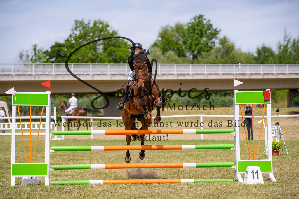 A7V01996 | Pferdefotograf