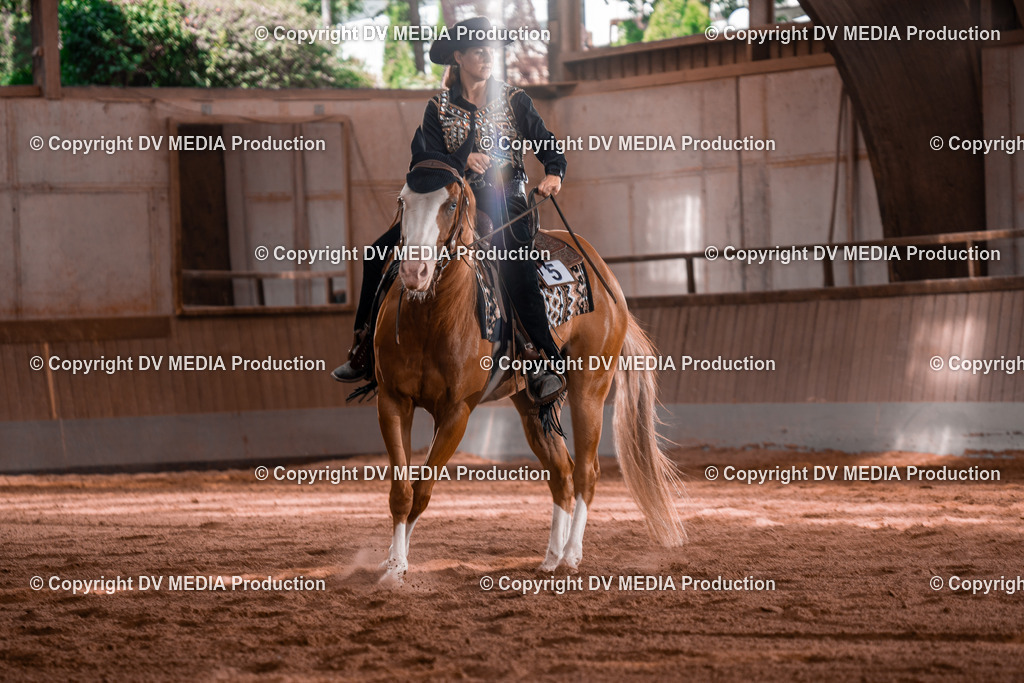 NE100363 | dv-media-shop - Realisiert mit Pictrs.com