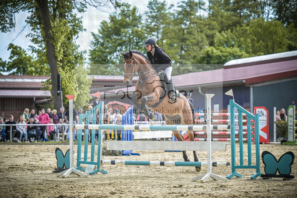 DOS_2630 | Entdecke hochwertige Reitturnierfotos von Foto Oger. Professionell, emotional und authentisch – jetzt Lieblingsmomente im Shop bestellen. - Realisiert mit Pictrs.com