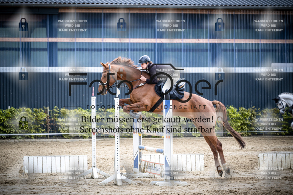 DOS_2436 | Reitturnier Lüdinghausen - Realisiert mit Pictrs.com