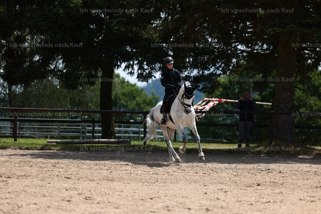 KlasseA_Stoibphotography_C2_L5532.JPG | working equitationturnier fotograf videograf stoibphotography marixx film working equitation deutschland reitsport turnierfotografie eventfotografie equestrian events