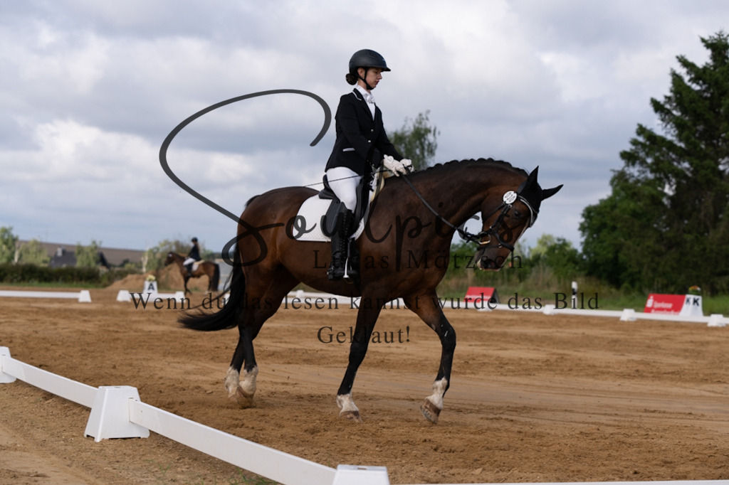 A7V05186 | Pferdefotograf