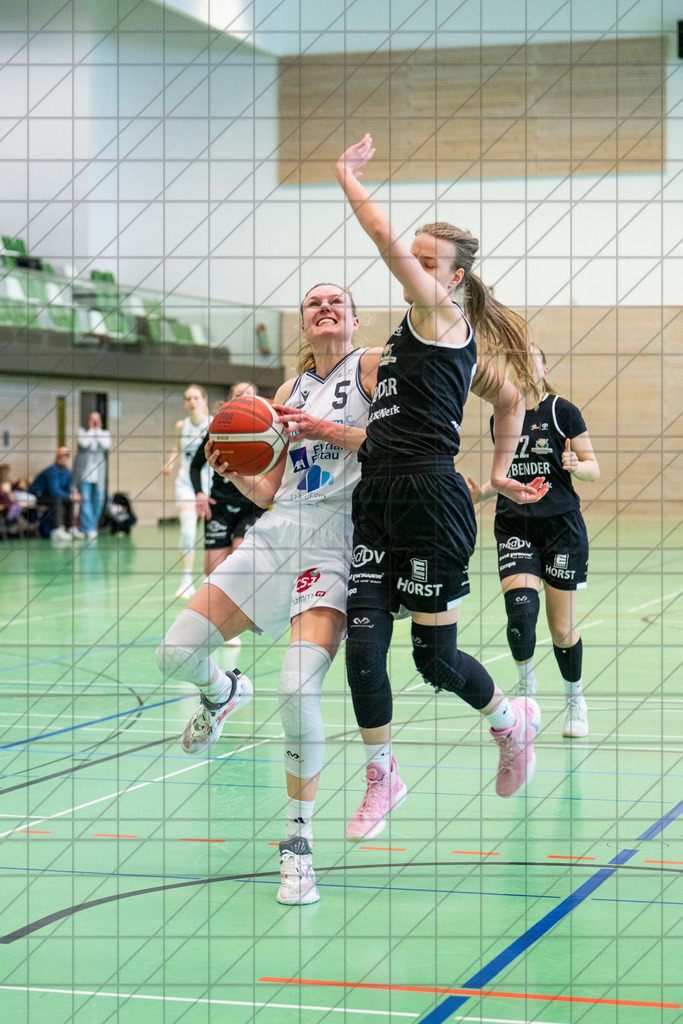 2. DBBL Nord 25/26 | Spieltag 25 | BBC Osnabrück vs. Bender Baskets Grünberg | 04.04.26: 2. DBBL Nord 25/26 | Spieltag 25 | BBC Osnabrück vs. Bender Baskets Grünberg / Osnabrück / Deutschland  //   CREDIT:www.bullenfotos.de, Martin König, Hörner Weg 40, D-49078 Osnabrück, +4917663732967 // Nutzung und Weitergabe nur zu den vereinbarten Zwecken. Presseanfragen an Ersteller. Alle Rechte beim Ersteller. Honorierung nach MFM. - Realisiert mit Pictrs.com