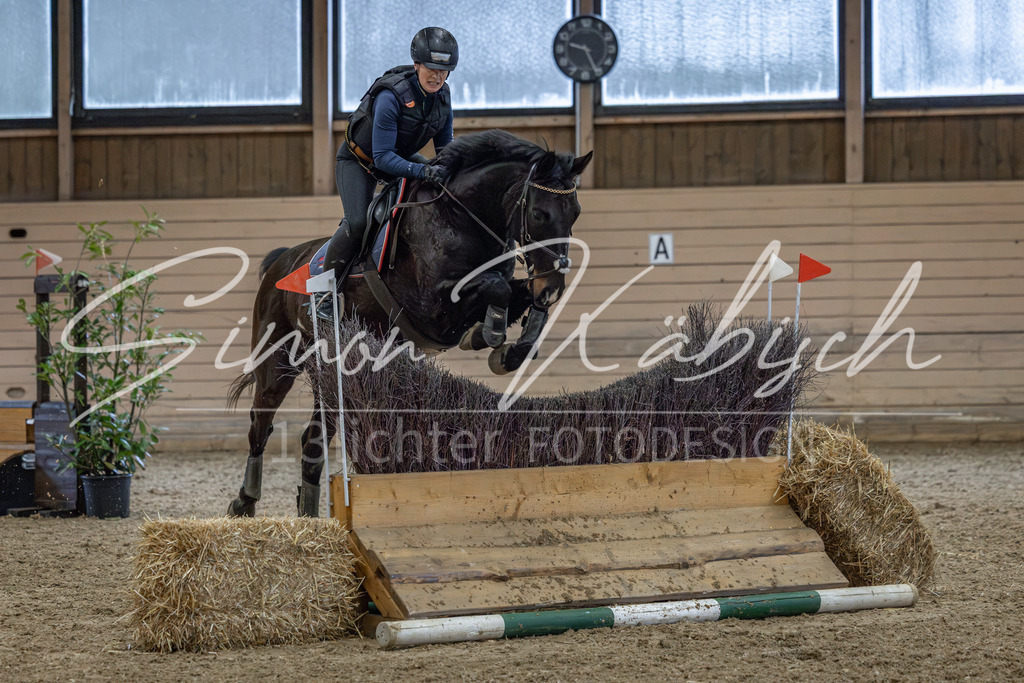 20260222-_3LI1219 | Tierfotografie Pferde, Hunde, Katzen, Haustiere.
Turnierfotografie Reitturniere, Reiten, Springreiten, Dressur in Hanau, dem Main-Kinzig-Kreis und dem Rhein-Main- Gebiet um Frankfurt