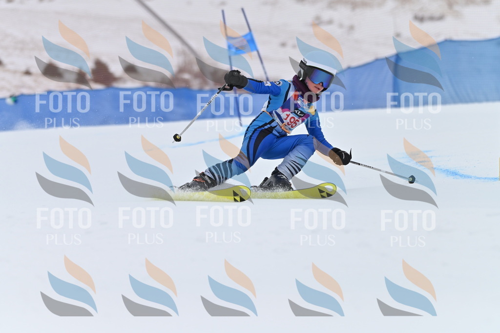 BGV_1679 | holidayphoto