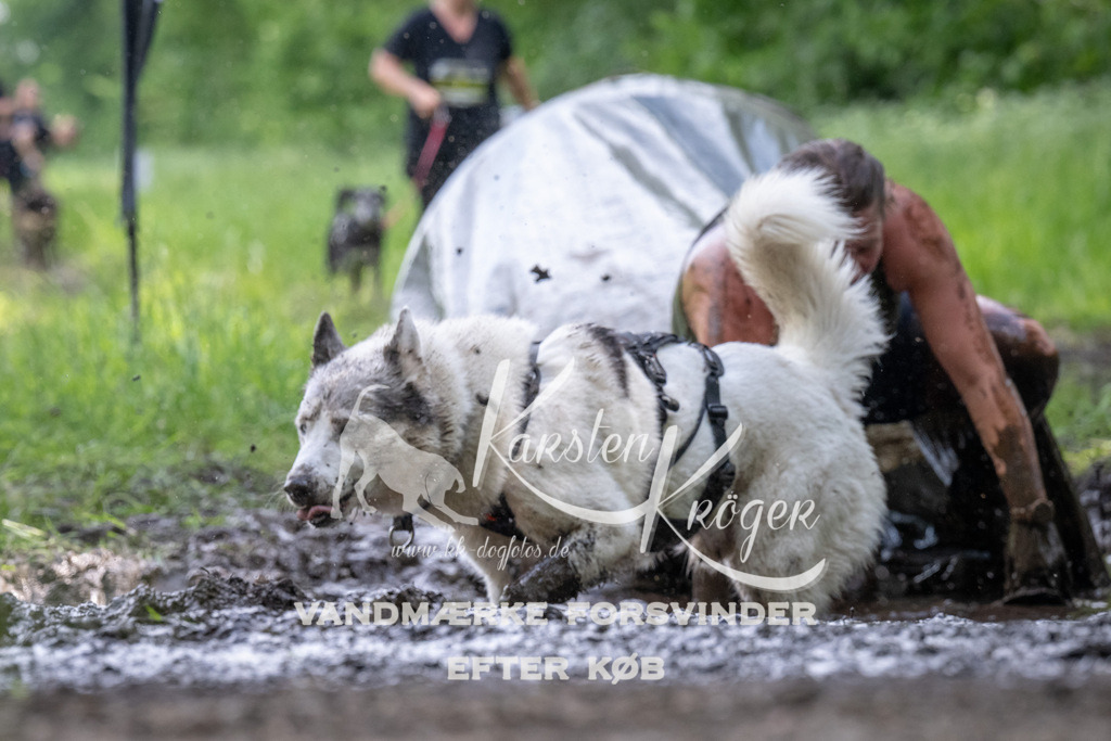 1239_ZZ92845 | kk-dogfotos