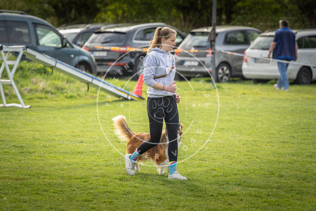 Pfotenfotografie_DV3A4956 | Hundefotografie, Tierfotograf, Pfotenfotografie, Fotoshooting Hund, Hunde Portrait, Hundesport, Hundeportraits, Heideshooting, Hunde, Sportfotograf, Hundefotograf, Turnierhundsport, THS,  - Realisiert mit Pictrs.com