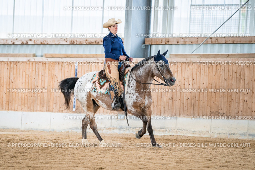 DSC03822 | Pferdegrafie