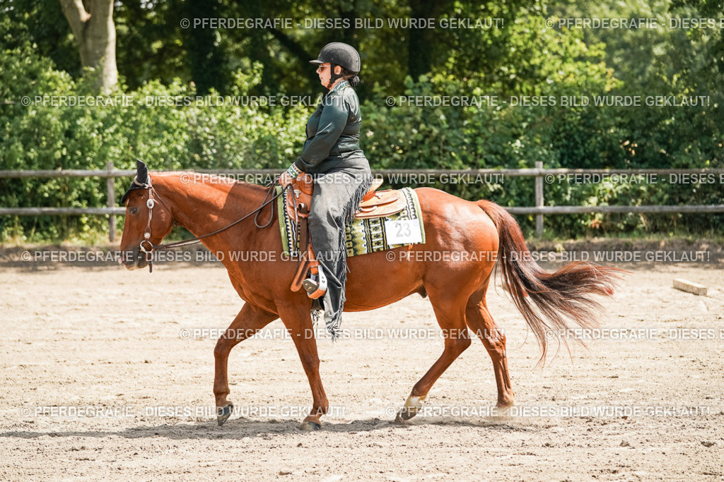 DSC06485 | Pferdegrafie