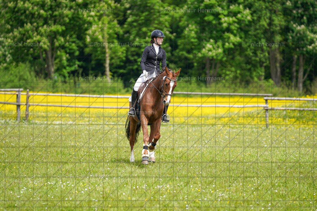 20230521-FAH06189 | Frühjahrsturnier, Landsberg am Lech, 2023, Reitclub Landsberg, Turnierbilder, Fotos Turnier Landsberg, Fotoagentur Herrmann, Turnierfotografen Bayern, Reitsport Fotograf, Pferde Fotograf