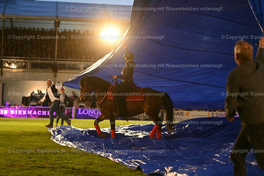 20230526_Pferdenacht_1067 | equistock
