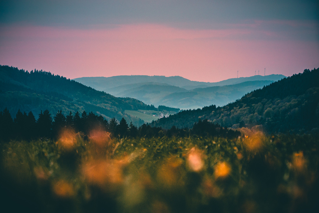Dämmerlicht im Schwarzwald | Der Schwarzwald im letzten Dämmerlicht - Realisiert mit Pictrs.com